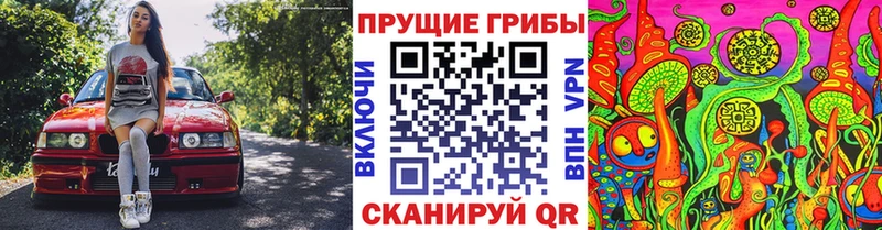 Галлюциногенные грибы Psilocybe Соль-Илецк